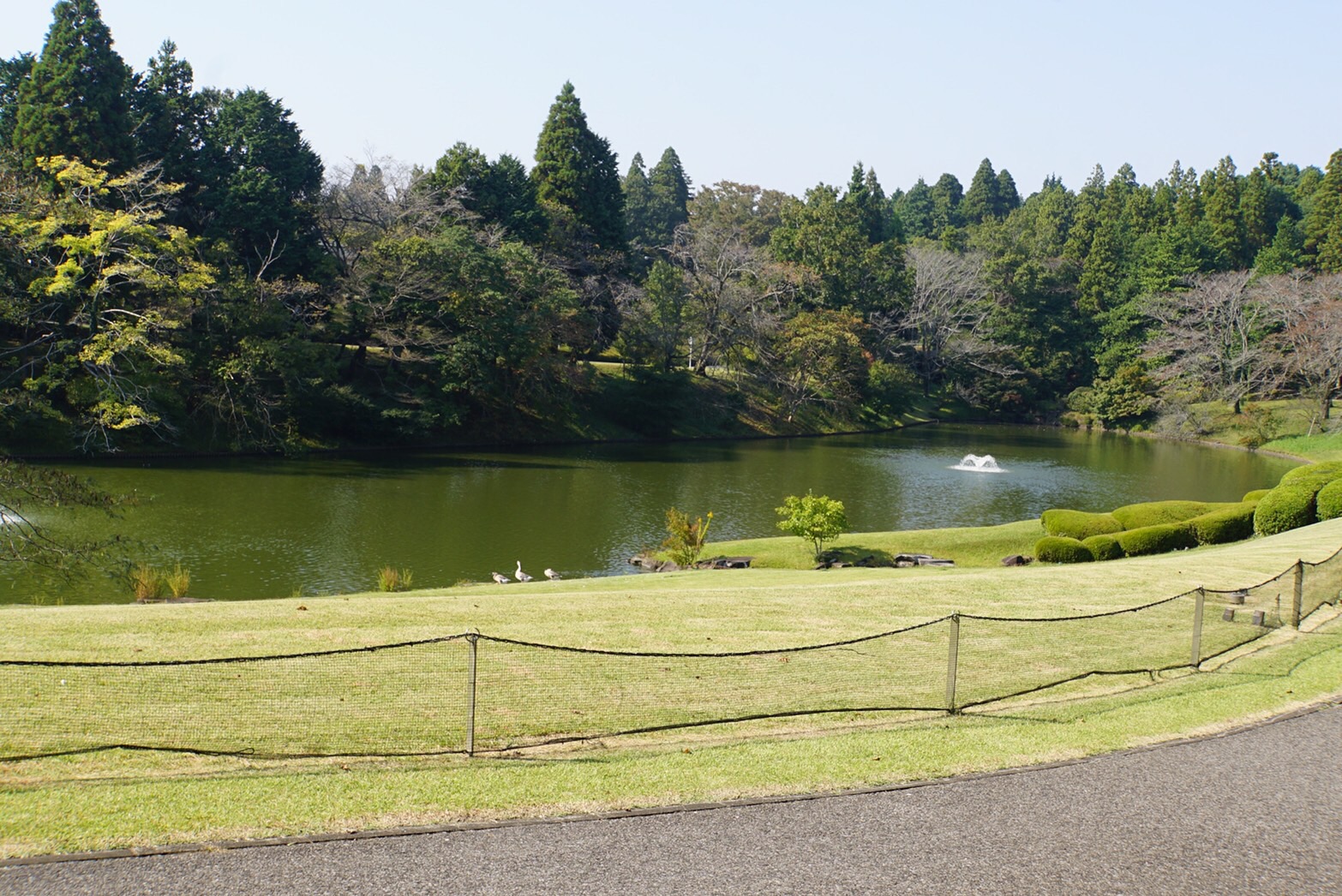 川村記念美術館